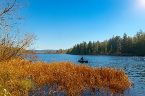 7521 Porier Rd, Sooke, BC 