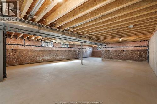 668 Lily Mac Boulevard, Windsor, ON - Indoor Photo Showing Basement