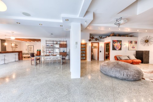 Vue d'ensemble - 6009 Rue Louis-Hémon, Montréal (Rosemont/La Petite-Patrie), QC - Indoor