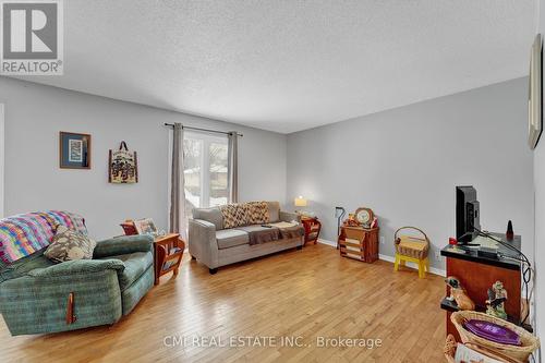 1337 Tudor Crescent, Peterborough, ON - Indoor Photo Showing Living Room