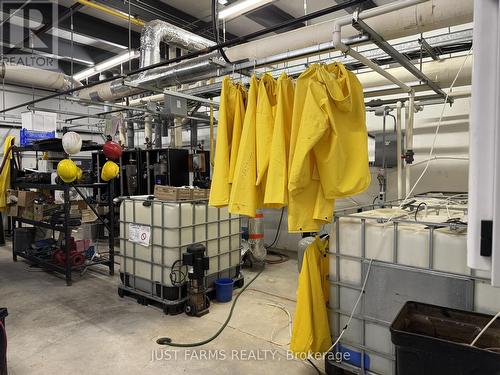 2899 Cromarty Drive, Thames Centre (Putnam), ON 