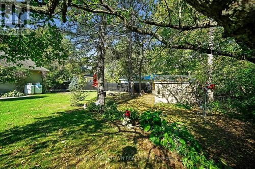 8121 Main Street, Augusta, ON - Outdoor