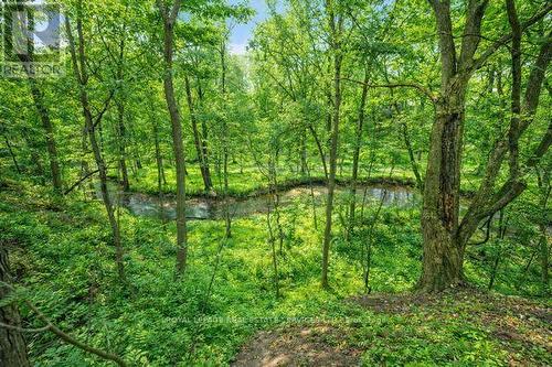 Backing onto Morrison Valley South! - 1302 Hillview Crescent, Oakville, ON - Outdoor