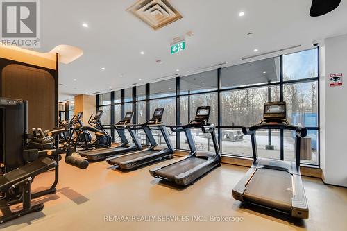 709 - 720 Whitlock Avenue, Milton, ON - Indoor Photo Showing Gym Room