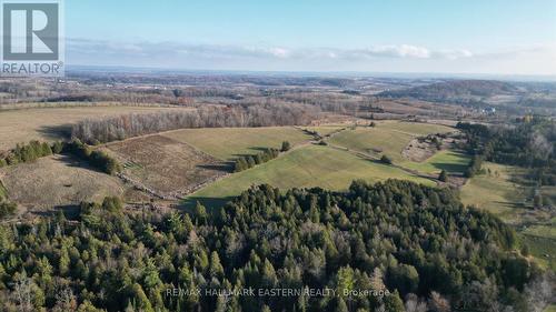 Looking South-East (Bottom is North-West Corner) - 461 Concession 11 E, Trent Hills, ON 
