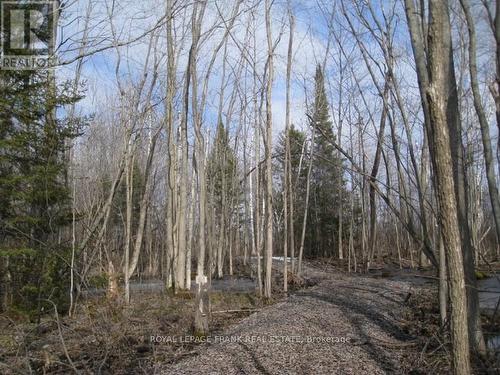 0 Mervin Line, Cavan Monaghan (Cavan-Monaghan), ON 