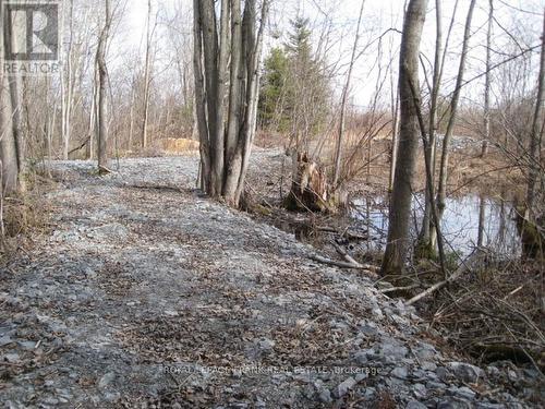 0 Mervin Line, Cavan Monaghan (Cavan-Monaghan), ON 