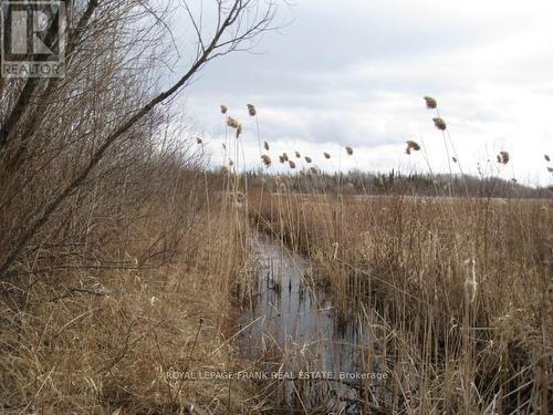 0 Mervin Line, Cavan Monaghan (Cavan-Monaghan), ON 