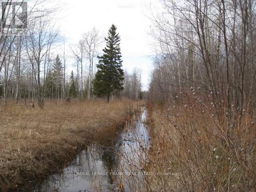 0 Mervin Line, Cavan Monaghan (Cavan-Monaghan), ON 