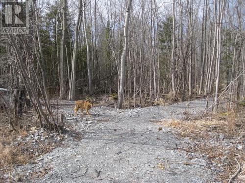 0 Mervin Line, Cavan Monaghan (Cavan-Monaghan), ON 