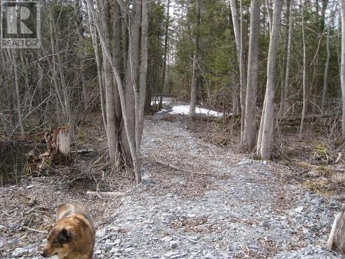 0 Mervin Line, Cavan Monaghan (Cavan-Monaghan), ON 