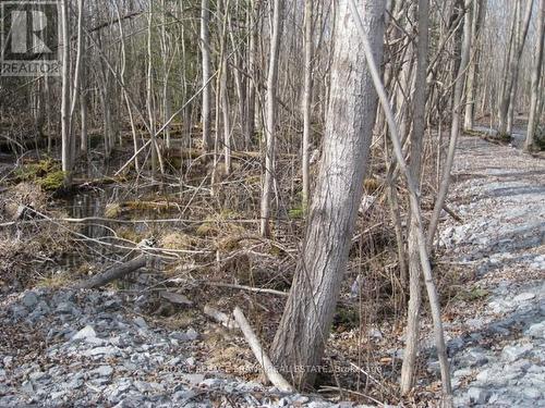 0 Mervin Line, Cavan Monaghan (Cavan-Monaghan), ON 