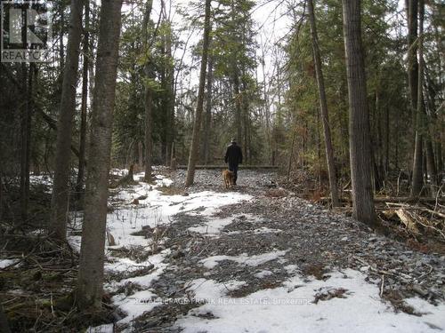 0 Mervin Line, Cavan Monaghan (Cavan-Monaghan), ON 