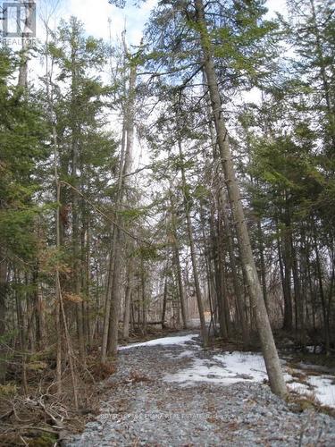 0 Mervin Line, Cavan Monaghan (Cavan-Monaghan), ON 