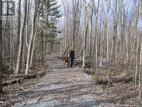 0 Mervin Line, Cavan Monaghan (Cavan-Monaghan), ON 