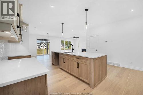 88 Graf Street, Harrow, ON - Indoor Photo Showing Kitchen With Upgraded Kitchen