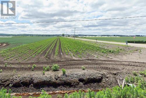 695 Strawberry Lane, King, ON 