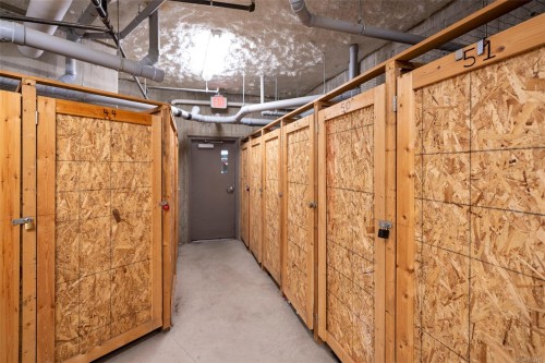 402-4030 Borden St, Saanich, BC - Indoor Photo Showing Basement