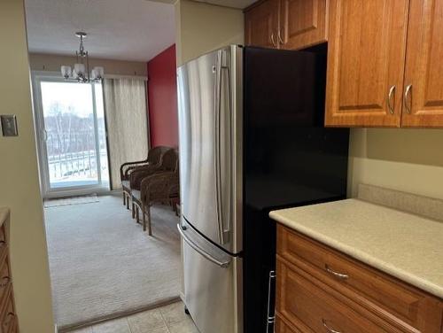 401 800 Gordon Street, Thunder Bay, ON - Indoor Photo Showing Kitchen