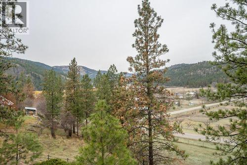 459 Johnson Crescent, Oliver, BC 