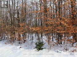 00 SIBERIA ROAD  Madawaska Valley, ON K0J 1B0