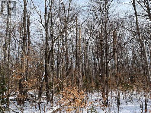 00 Siberia Road, Madawaska Valley, ON 