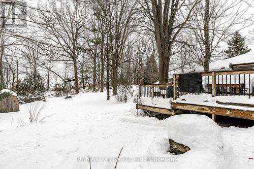 250 Orchard Avenue, Zorra, ON - Outdoor With Deck Patio Veranda