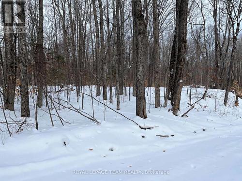 01 Siberia Road, Madawaska Valley, ON 