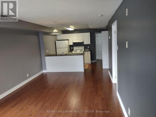 313 - 429 Somerset Street W, Ottawa, ON - Indoor Photo Showing Kitchen