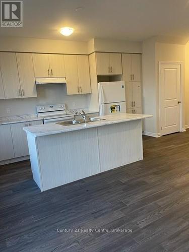 6 Mockingbird Lane, Hamilton, ON - Indoor Photo Showing Kitchen With Double Sink