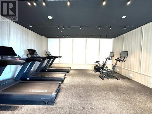 1003 - 3071 Trafalgar Road, Oakville, ON - Indoor Photo Showing Gym Room