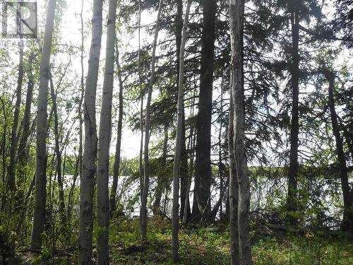 Chilcotin Highway, Chilcotin, BC 