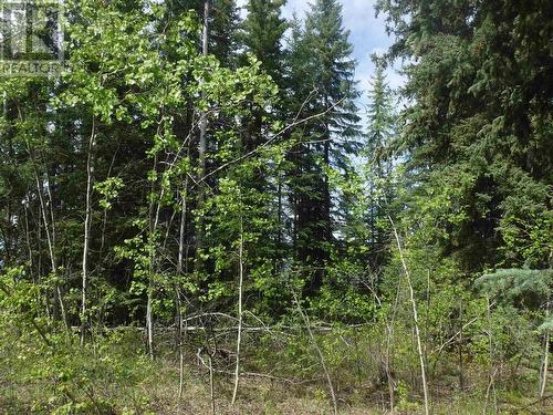 Chilcotin Highway, Chilcotin, BC 