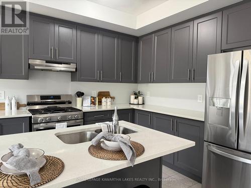 19 Keenan Street, Kawartha Lakes (Lindsay), ON - Indoor Photo Showing Kitchen With Double Sink With Upgraded Kitchen