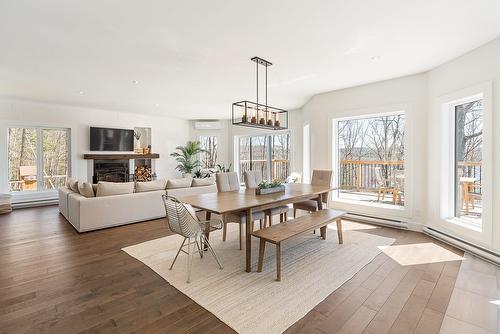Interior - 251 Ch. Des Bosquets-Fleuris, Stanstead - Canton, QC - Indoor Photo Showing Living Room With Fireplace