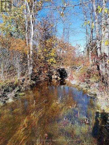 1590 Cornwall Centre Road, Cornwall, ON - Outdoor With View