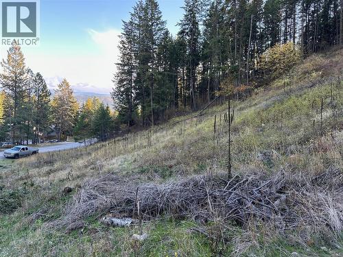 10732 Westshore Road, Vernon, BC 