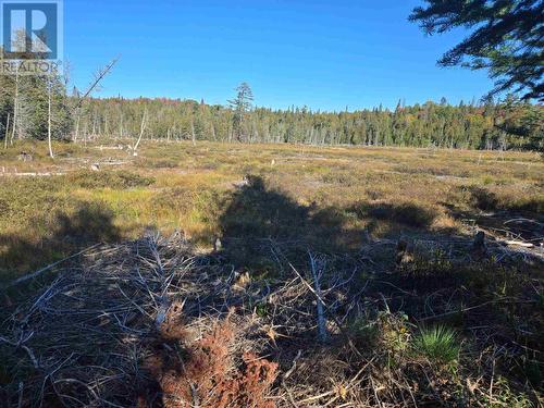 Miron Lease Spruce Lake, Batchewana, ON - Outdoor With View