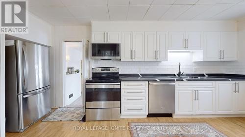48 Moberly Street, Collingwood, ON - Indoor Photo Showing Kitchen With Stainless Steel Kitchen With Double Sink