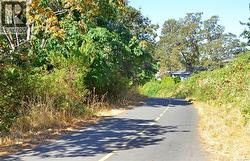 Close to the Galloping Goose Trail - 