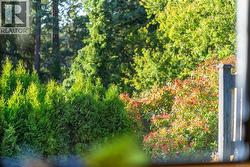 Beautiful Mature Landscaping - 