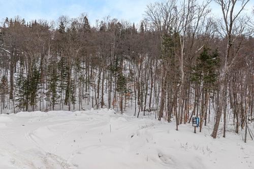 Terre/Terrain - Rue De Belle-Plagne, Saint-Sauveur, QC 