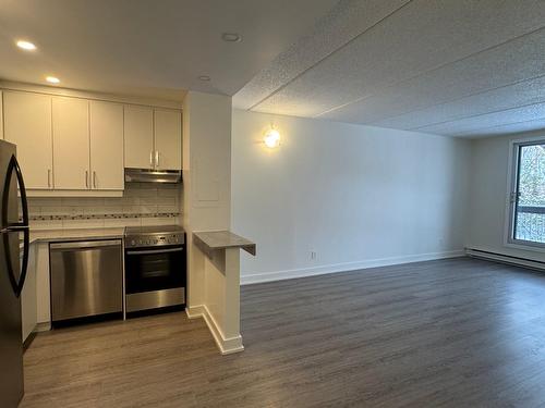 Living room - 207-668 Rue De Gaspé, Montréal (Verdun/Île-Des-Soeurs), QC - Indoor Photo Showing Kitchen