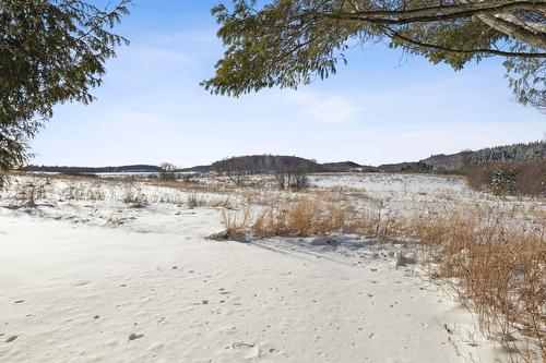 Terre/Terrain - 511 Rg St-Louis, Saint-André-Avellin, QC - Outdoor With View