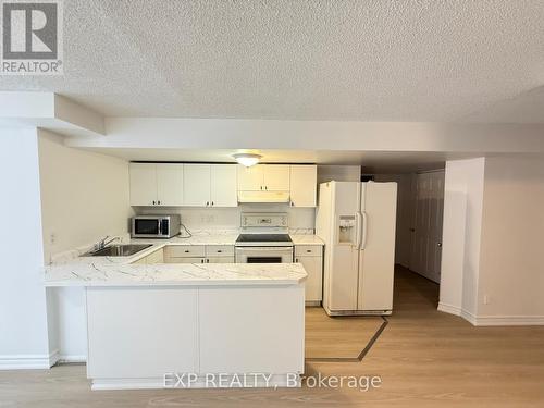 Main/Lower - 48 Estate Garden Drive, Richmond Hill, ON - Indoor Photo Showing Kitchen
