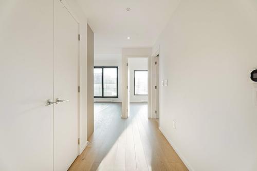 Hall d'entrée/Vestibule - 301-585 Av. Glengarry, Mont-Royal, QC - Indoor Photo Showing Other Room