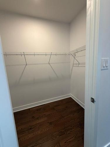 Penderie (Walk-in) - 205-191 Av. Brock S., Montréal-Ouest, QC - Indoor With Storage