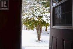 From Garage backyard View - 