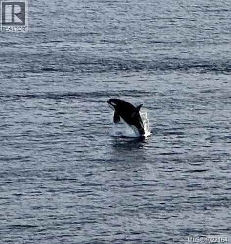 8B 1000 Sookepoint Pl, Sooke, BC - Outdoor With Body Of Water With View