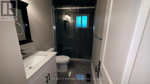 17 Law Crescent S, Richmond Hill, ON - Indoor Photo Showing Bathroom